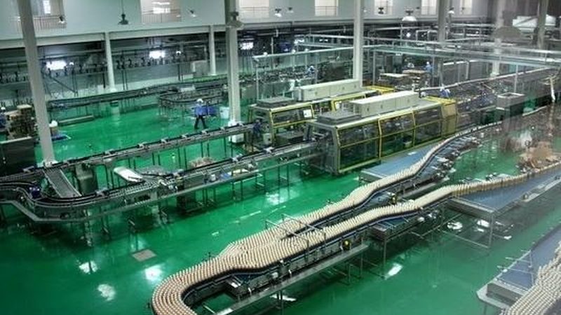肉类加工设备选购要点：价格与性能如何权衡？**
