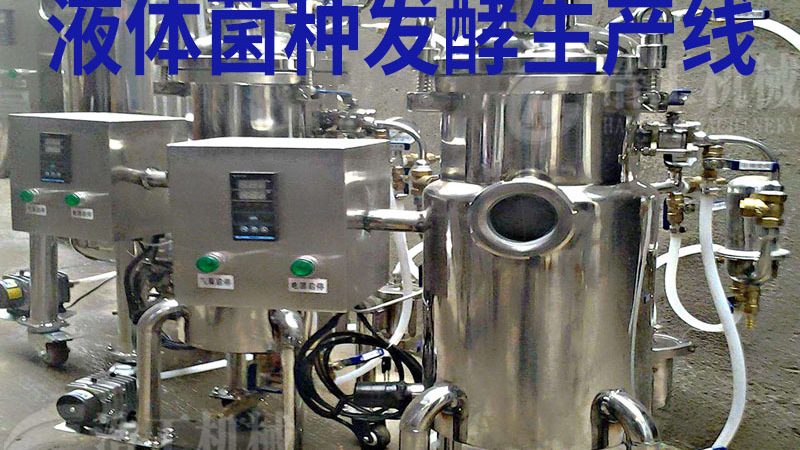 不锈钢炒货机材质标准：揭秘炒货机核心品质保障